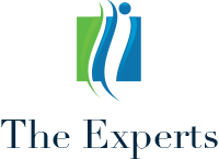 The Experts